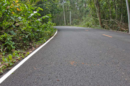 Forest road Landscapeの写真素材