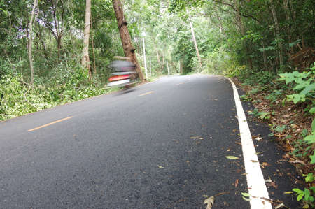 forest in road and motorcycle movingの写真素材