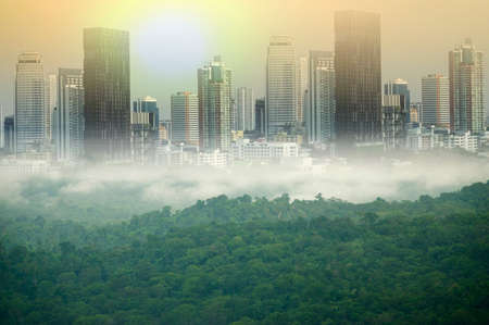 city invaded wild
