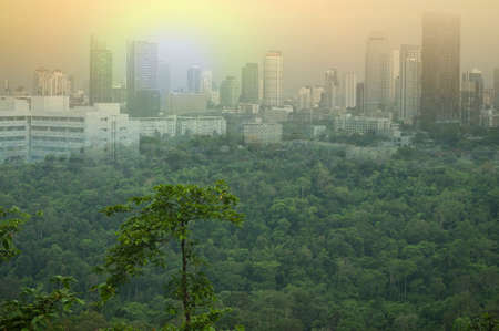 city invaded wildの写真素材