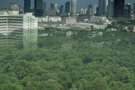 city invaded wildの写真素材