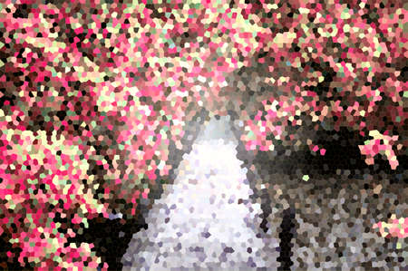 Color area backgroundの写真素材