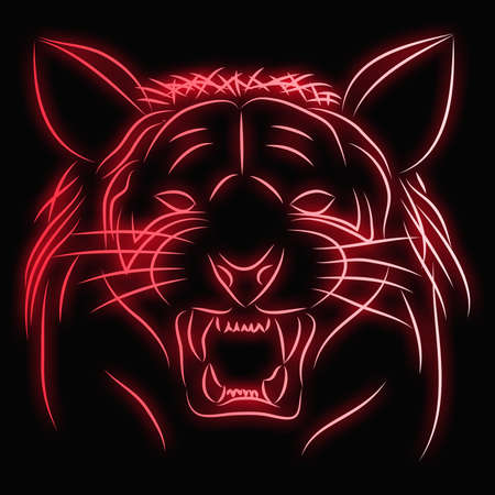 Tiger pattern black backgroundの写真素材