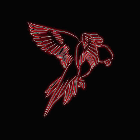 flying bird pattern black backgroundの写真素材