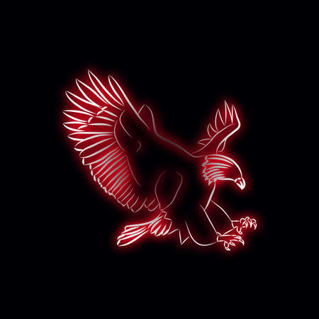 flying bird pattern black backgroundの写真素材