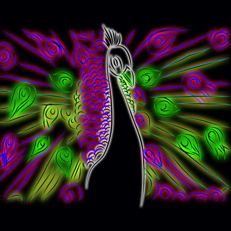 peacock pattern black backgroundの写真素材