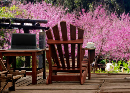 Office outdoor in natureの写真素材