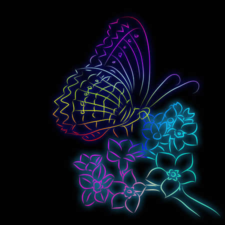 butterfly and flower pattern black backgroundの写真素材