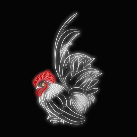 bantam pattern black backgroundの写真素材