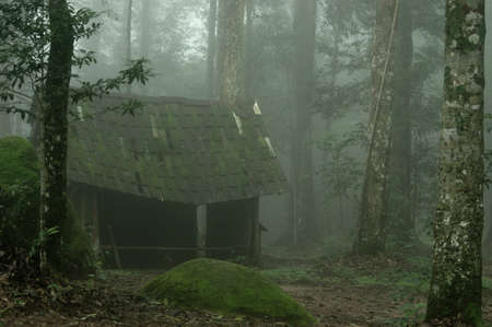 House in the deep forest in the mist.Thailandの写真素材