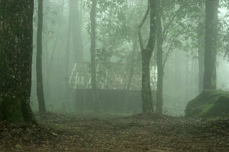 House in the deep forest in the mist.Thailandの写真素材