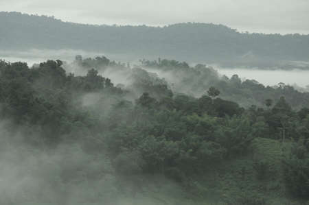 misty mountains in the distanceの写真素材
