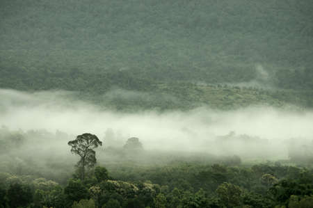 misty mountains in the distanceの写真素材