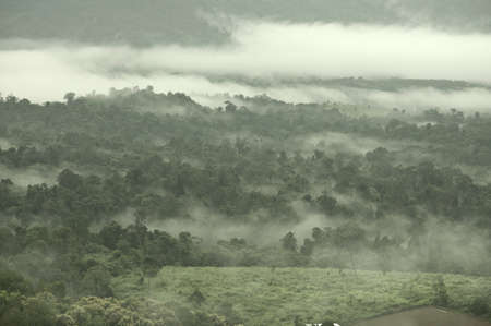 misty mountains in the distance