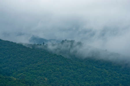 beautiful country in Thailand with mist and beautiful mountain