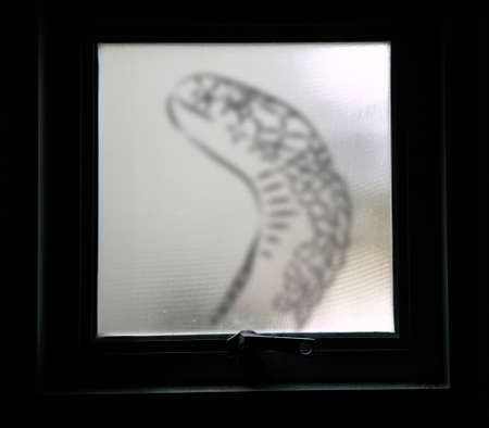 shadow of dangerous things on the glass window.の写真素材