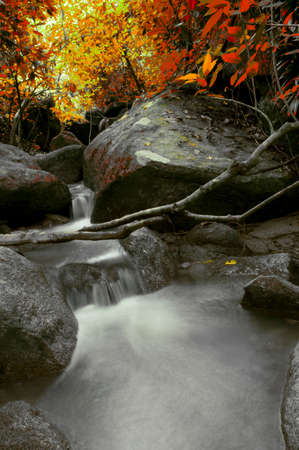 Waterfall and autumn in forest Thailandの写真素材