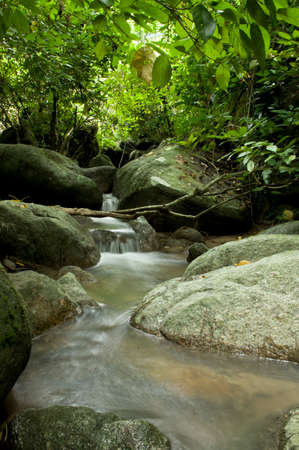 Abstract waterfall from ravine in forest