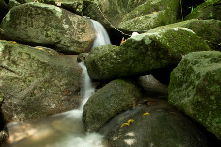 Abstract waterfall from ravine in forest