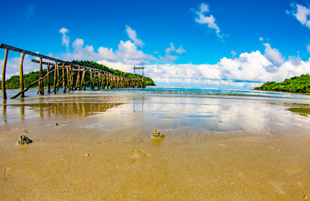Wooden bridge on the seashore in the tropics.の写真素材