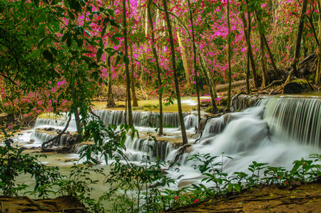 Waterfall in deep forest at Huay Mae Khamin waterfall National Park, Kanchanaburi, Thailandの写真素材