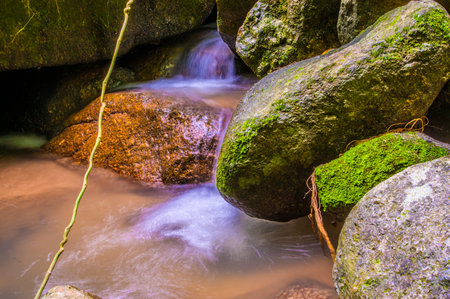 Mountain stream in national park, Thailand. (Selective focus)の写真素材