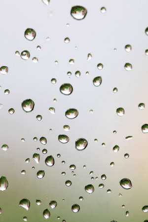 rain dropの写真素材