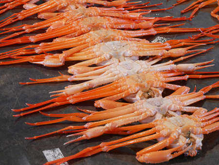 Auction snow crab in market Japan