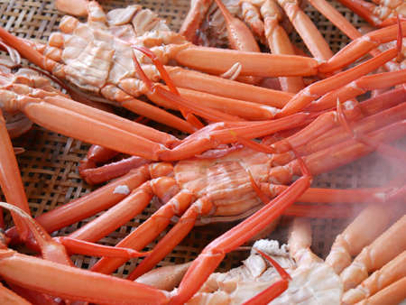 Steaming snow crab in Japanの写真素材
