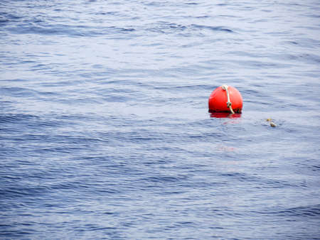 Buoy floating in seaの写真素材