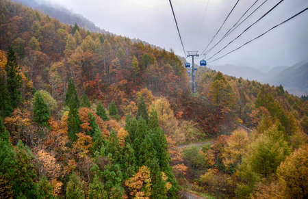 Cable car on ropeway going up to mountain with red and green leaves tree in autumn Japanのeditorial素材