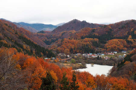 Railway with colorful trees in autumn, Japanの写真素材