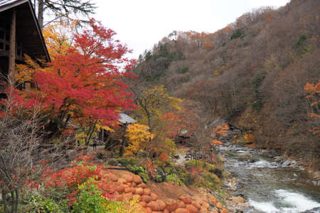 Takaragawa onsen hot spring with colorful trees in autumn, Japanのeditorial素材