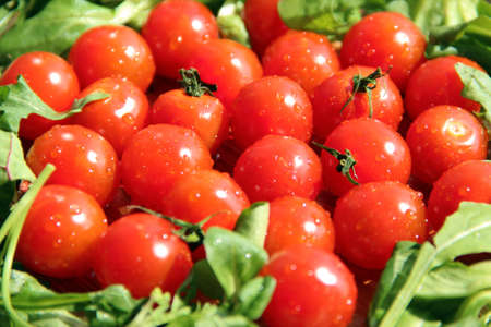 Tomatoes in saladの写真素材