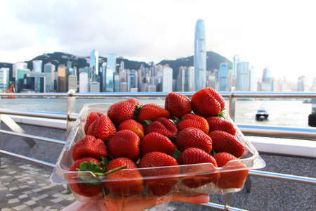 Picnic in the Cityの写真素材
