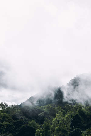 Foggy dayの写真素材