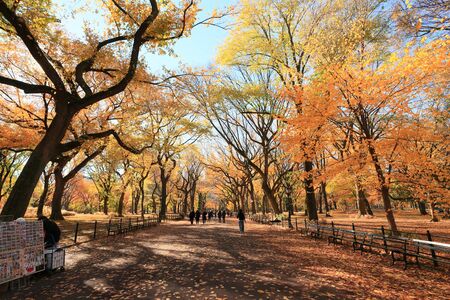 Central Park in Autumnのeditorial素材