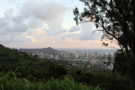 Honolulu cityscape at dusk