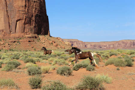 Monument Valleyの写真素材
