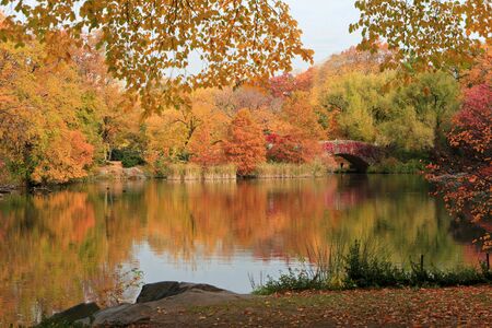 Autumn Scenery at Central Park, NYCの写真素材