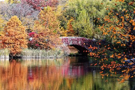 Autumn Scenery at Central Park, NYCの写真素材