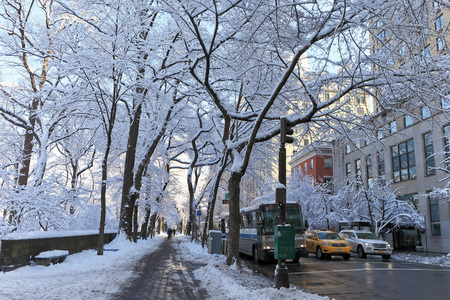Winter Scenery in New York, 5th Avenueのeditorial素材
