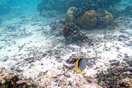 Tamun Beach, Guim island