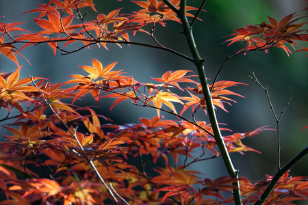 Landscape in Kyoto, Keage, Higashiyama