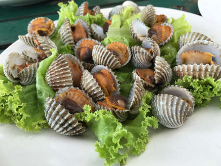 Blood cockle on plate