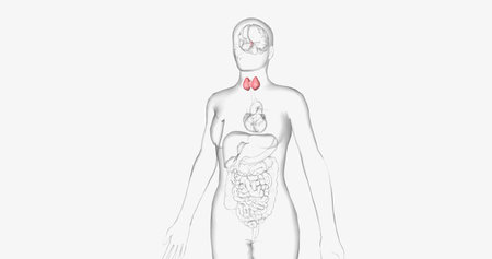 Hashimoto's thyroiditis is an autoimmune condition characterized by inadequate production of thyroid...