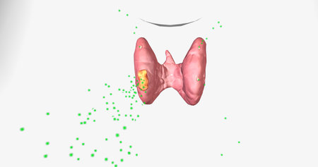 Hyperparathyroidism is a condition in which high amounts of parathyroid hormone are produced by the parathyroid gland. 3D renderingの写真素材
