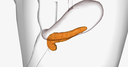 Cystic fibrosis is a genetic disorder characterized by thick mucus production. 3D renderingの写真素材
