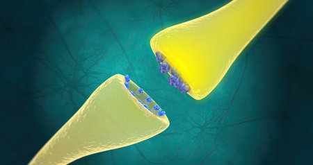 An imbalance of brain chemicals (neurotransmitters) causes anxiety disorder. 3D renderingの写真素材