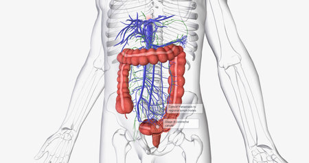 Colorectal cancer (CRC) is a common colon or rectal cancer that affects many patients over middle age. 3D renderingの写真素材